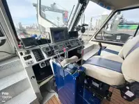크루즈선 판매 중