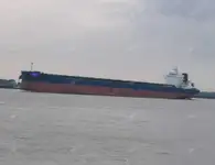 벌크 선 판매용