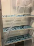 크루즈 페리 판매 중