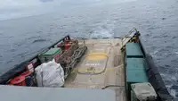 정찰 보트 판매 중