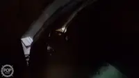트롤 어선 판매 중