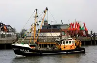 Trawler 판매용