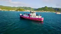 General Cargo/Multi-purpose 판매 중