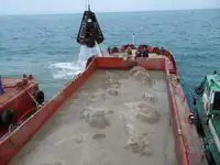 바지선 판매 중