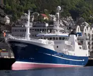 Purse seiner 판매용