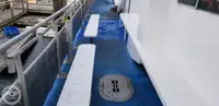 쌍동선 판매 중