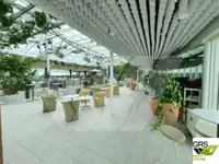 크루즈선 판매 중