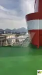 크루즈선 판매 중