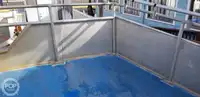 쌍동선 판매 중