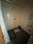 크루즈선 판매 중