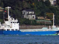 General Cargo/Multi-purpose 판매 중