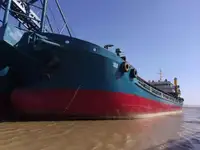 짐배 판매용