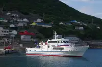 벌크 선 판매용