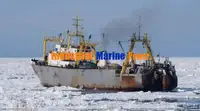 냉동선 판매 중