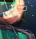 조종선 판매 중
