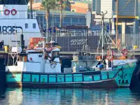 Purse seiner 판매용