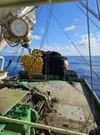 Purse seiner 판매용