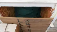 트롤 어선 판매 중