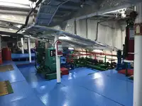 Ro-Ro ship 판매용