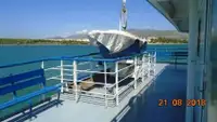 Ro-Ro ship 판매용