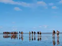 바지선 판매 중