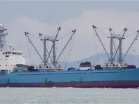냉동선 판매 중