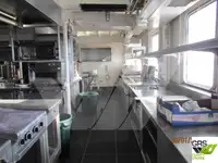 크루즈선 판매 중