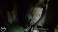 트롤 어선 판매 중
