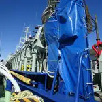 Purse seiner 판매용