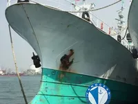 자망 어선 판매 중
