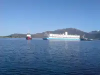 짐배 판매용