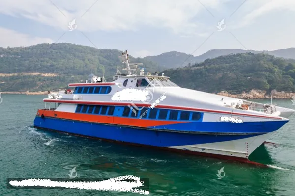 Catamaran for sale