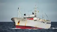 Trawler 판매용