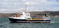 Purse seiner 판매용