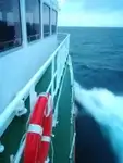 정찰 보트 판매 중