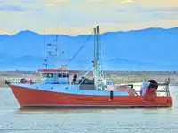 Trawler 판매용