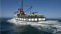 Trawler 판매용