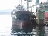 벌크 선 판매용