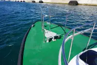 조종선 판매 중