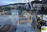 바지선 판매 중