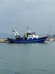 Trawler 판매용