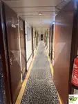 크루즈선 판매 중