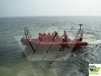 엄밀한 팽창식 배 판매용