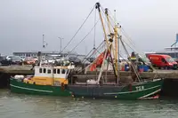 Trawler 판매용
