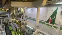 크루즈선 판매 중