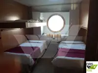 크루즈선 판매 중