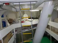벌크선 판매 중