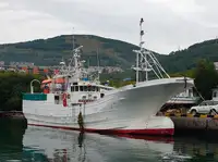 Trawler 판매용