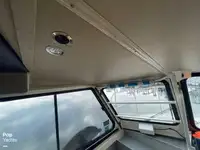 크루즈선 판매 중