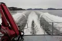 작업용 선박 판매 중